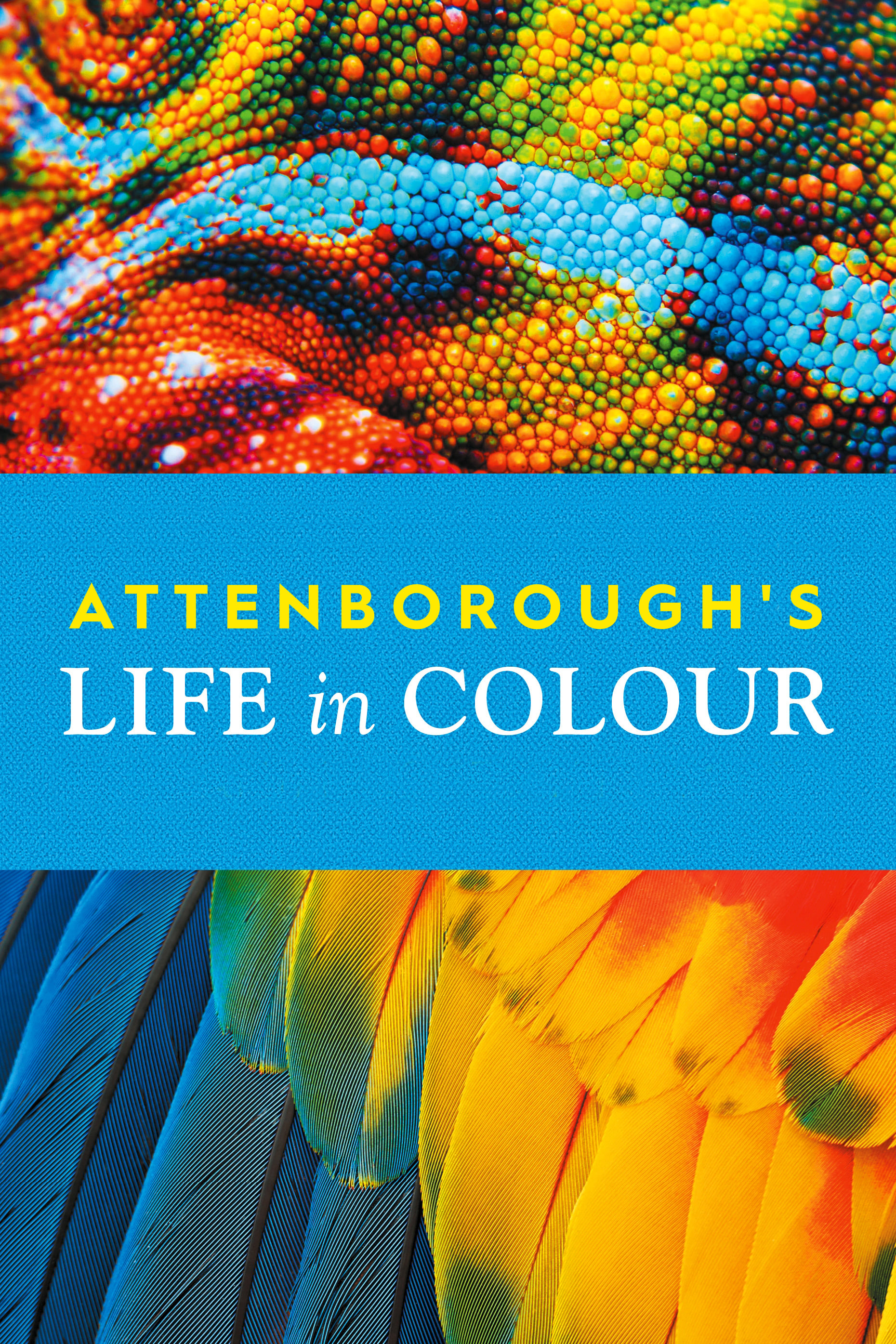 Caratula de Attenborough's Life in Colour (La vida a todo color, con David Attenborough) 