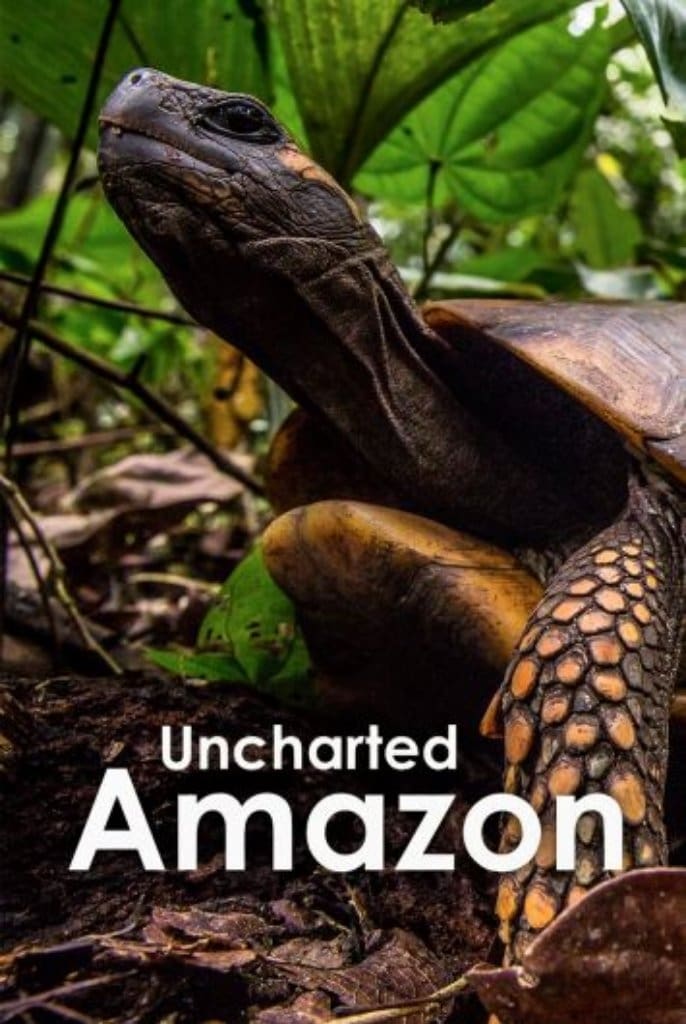 Caratula de Uncharted Amazon (None) 