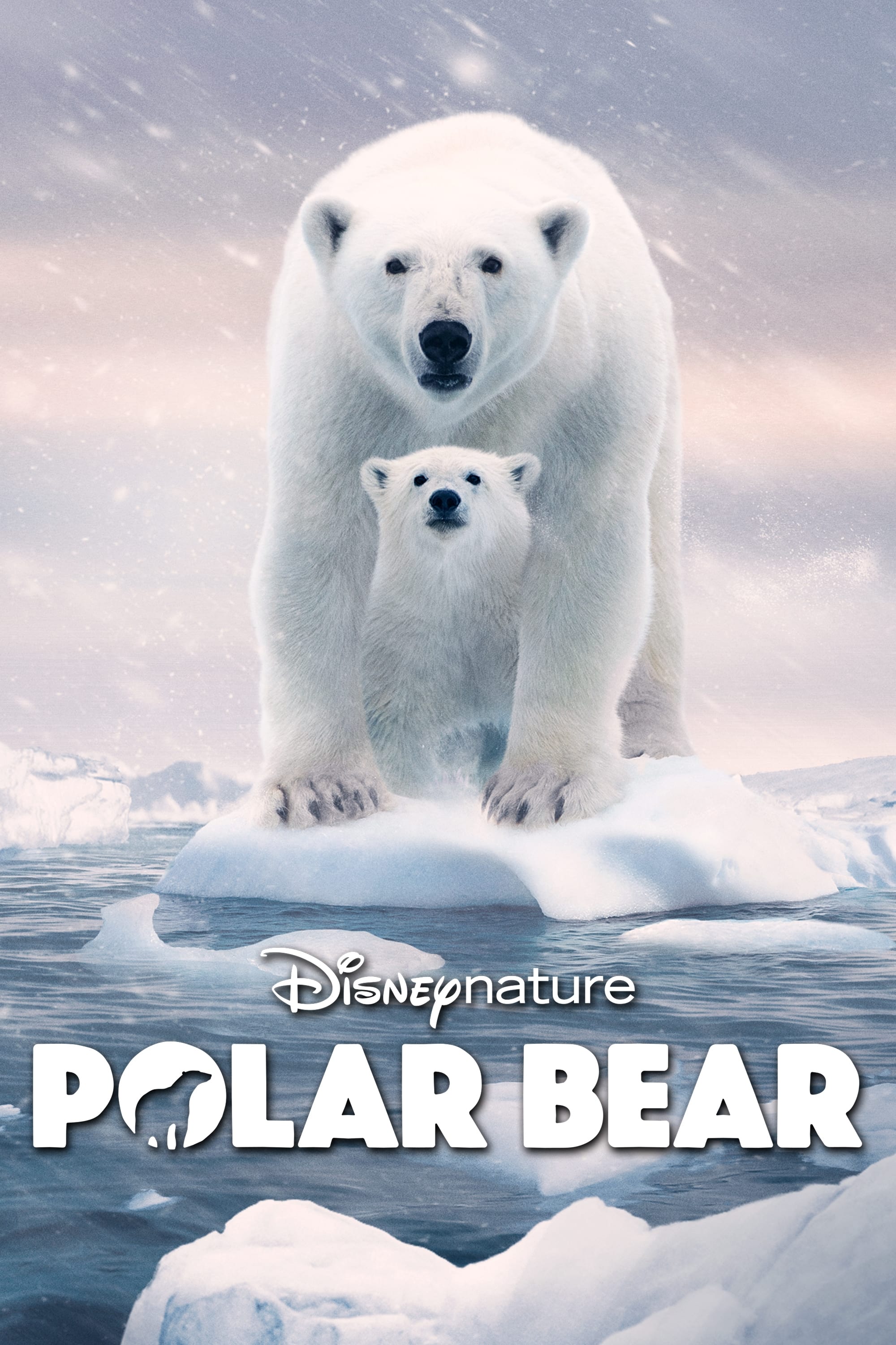 Caratula de Polar Bear (Osa polar) 