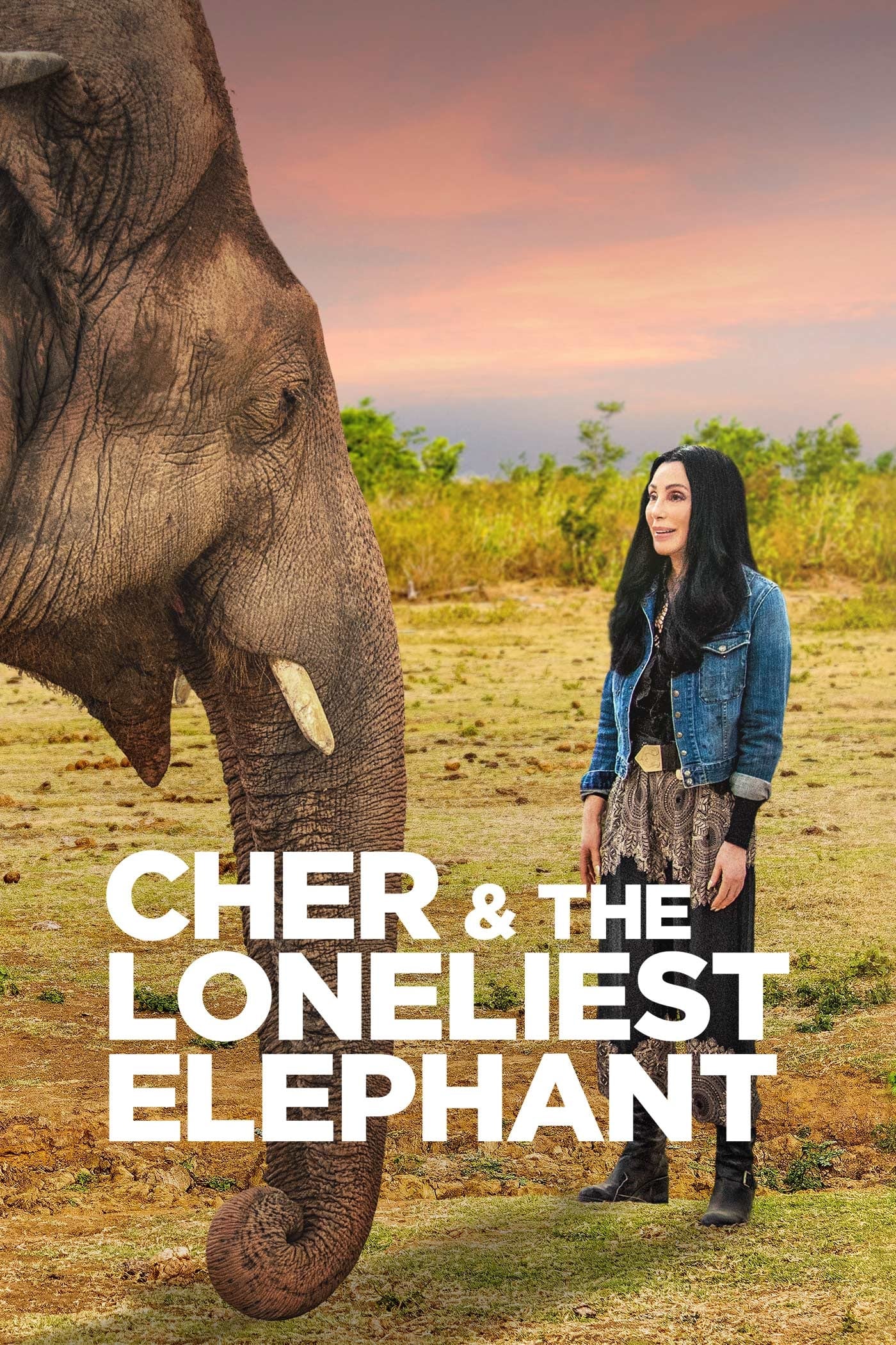 Caratula de Cher & the Loneliest Elephant (Cher y el elefante solitario) 