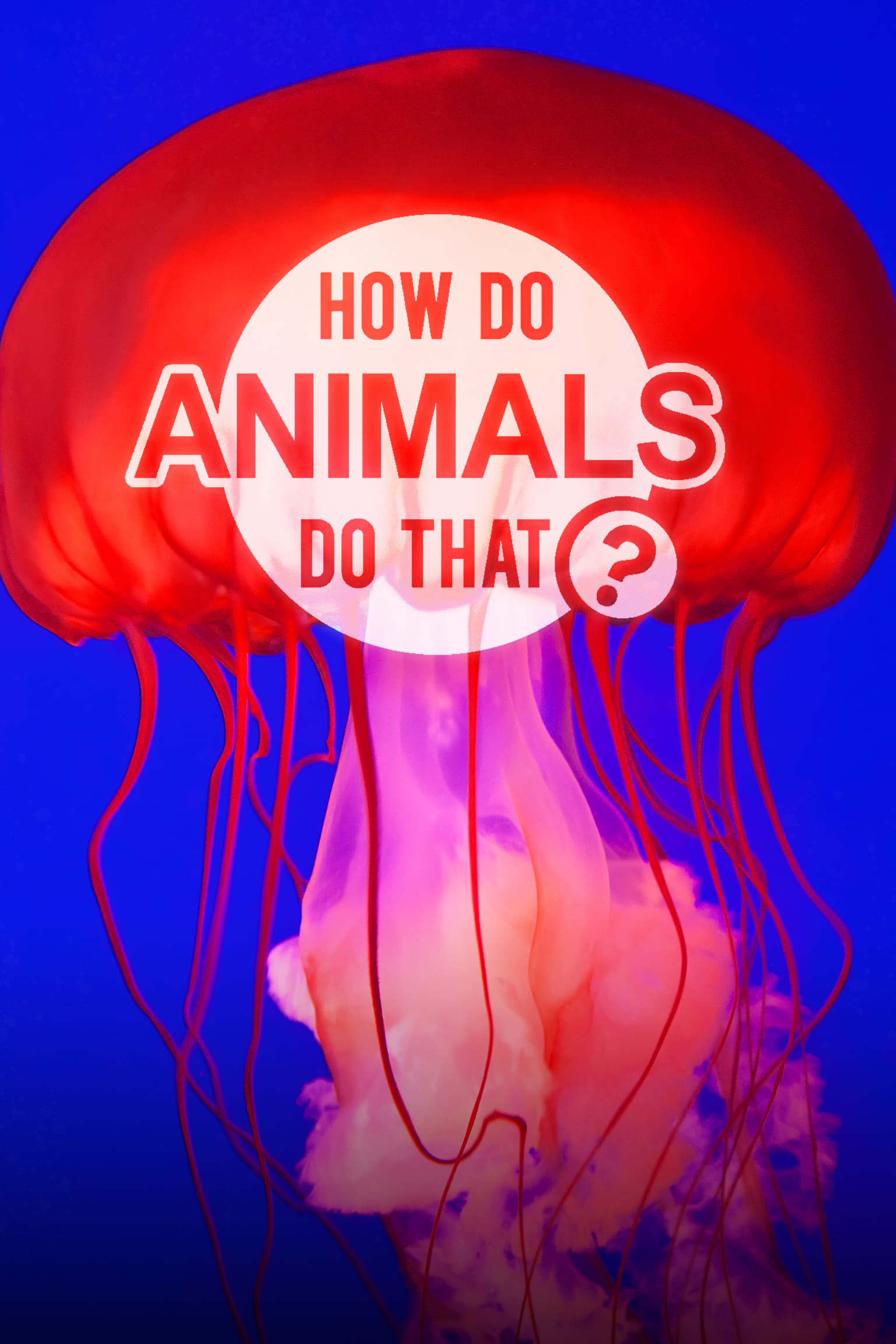 Caratula de How Do Animals Do That? (¿Cómo lo hacen? Mundo animal) 