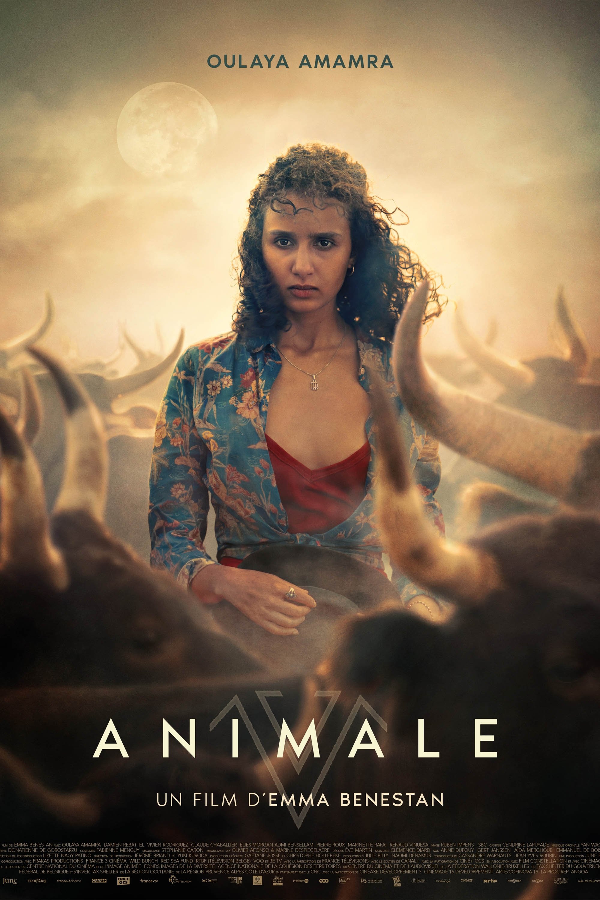 Caratula de Animale (Animale)