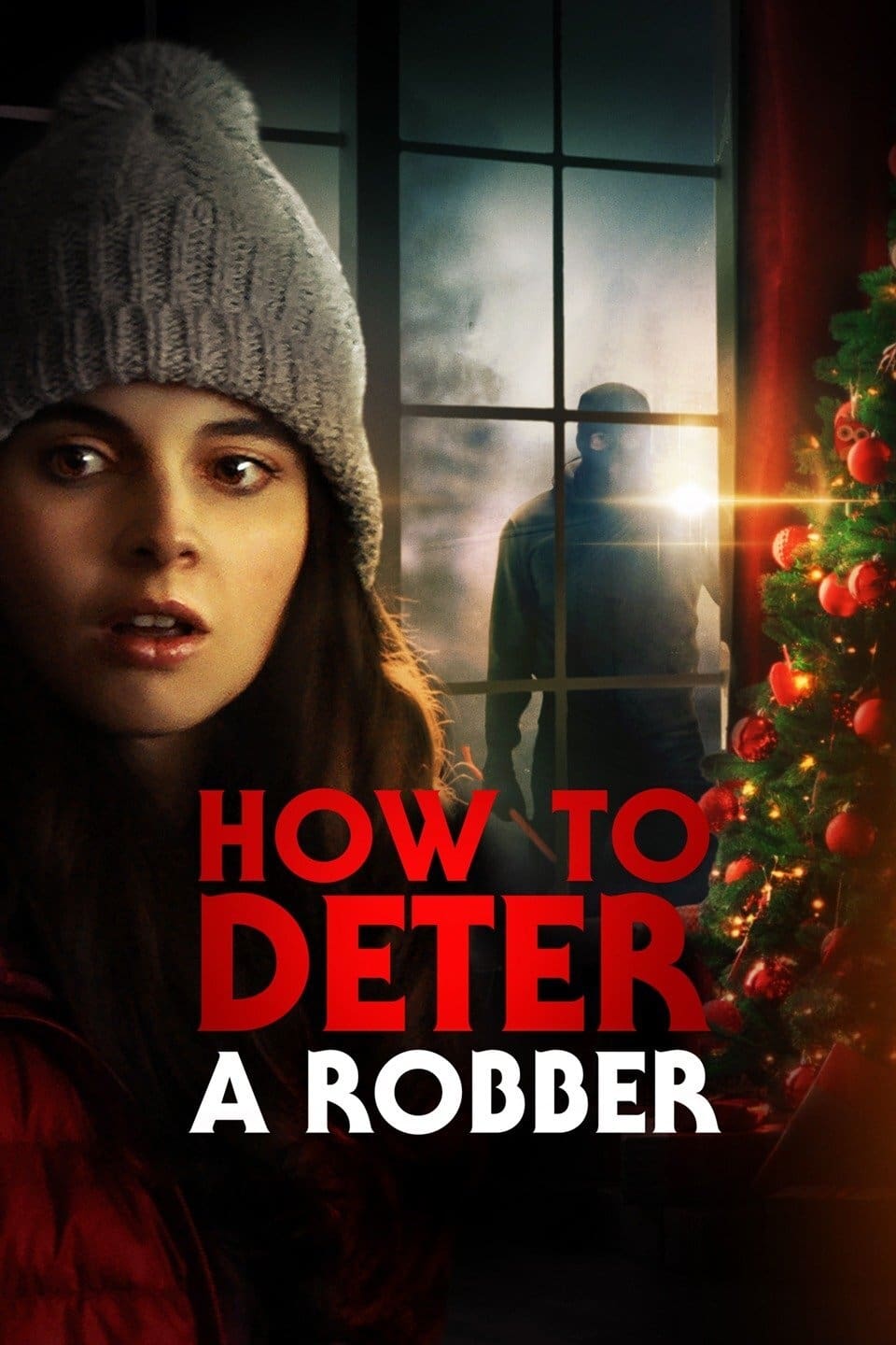 Caratula de How to Deter a Robber (Com dissuadir a un lladre) 