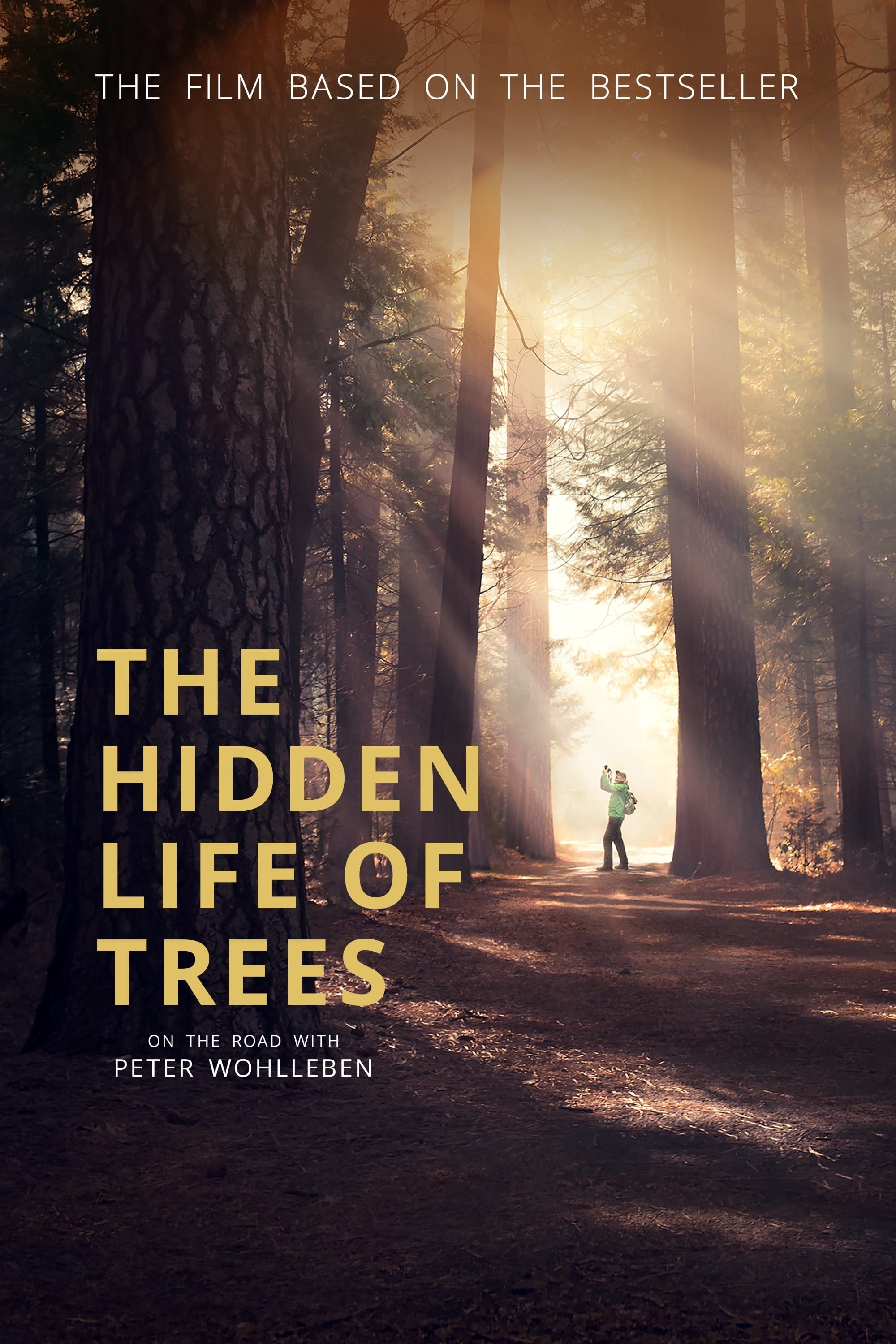 La vida secreta de los árboles