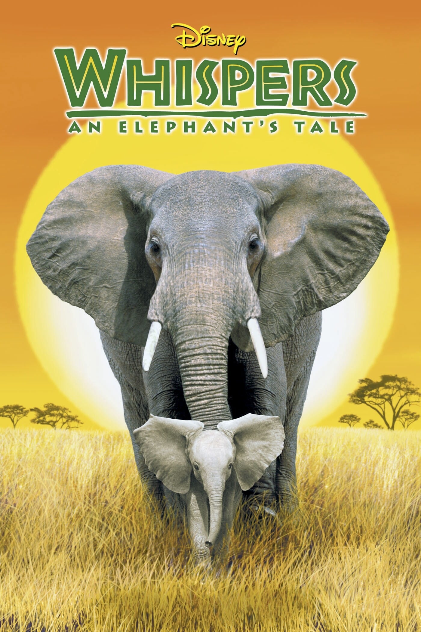 Whispers: An elephant's tale