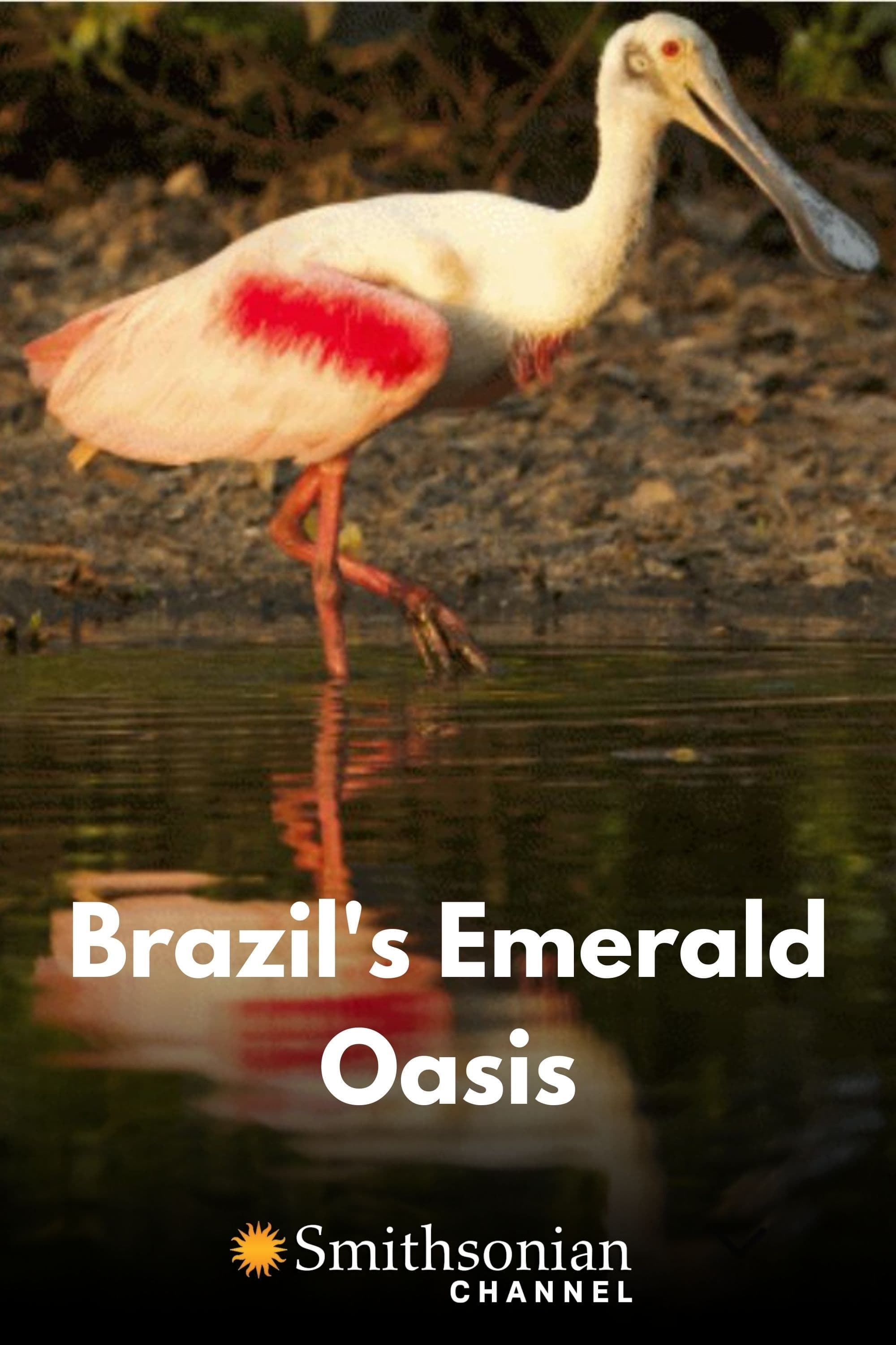 Caratula de Brazil's Emerald Oasis (L'oasi maragda del Brasil) 