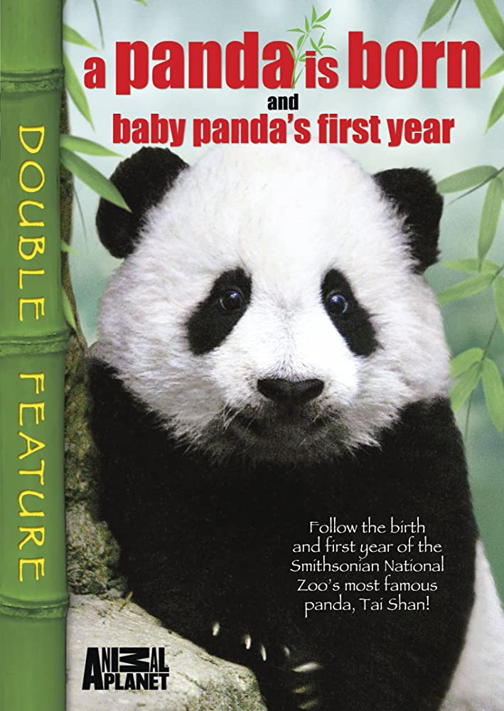 Caratula de Baby Panda's First Year (El primer año del bebé panda) 
