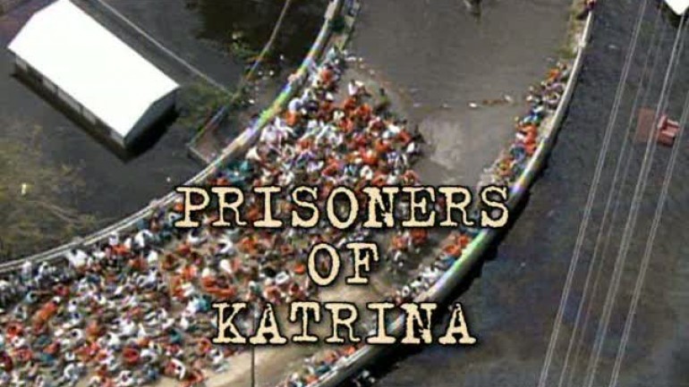 Caratula de Prisoners of Katrina (Los presos del Katrina) 