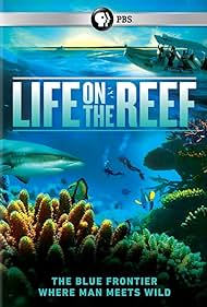 La vie sur le récif
