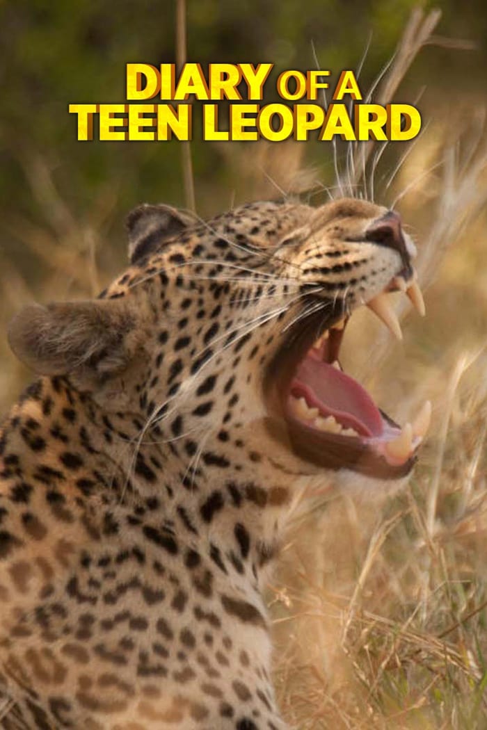 Caratula de DIARY OF A TEEN LEOPARD (Diario de un leopardo adolescente) 