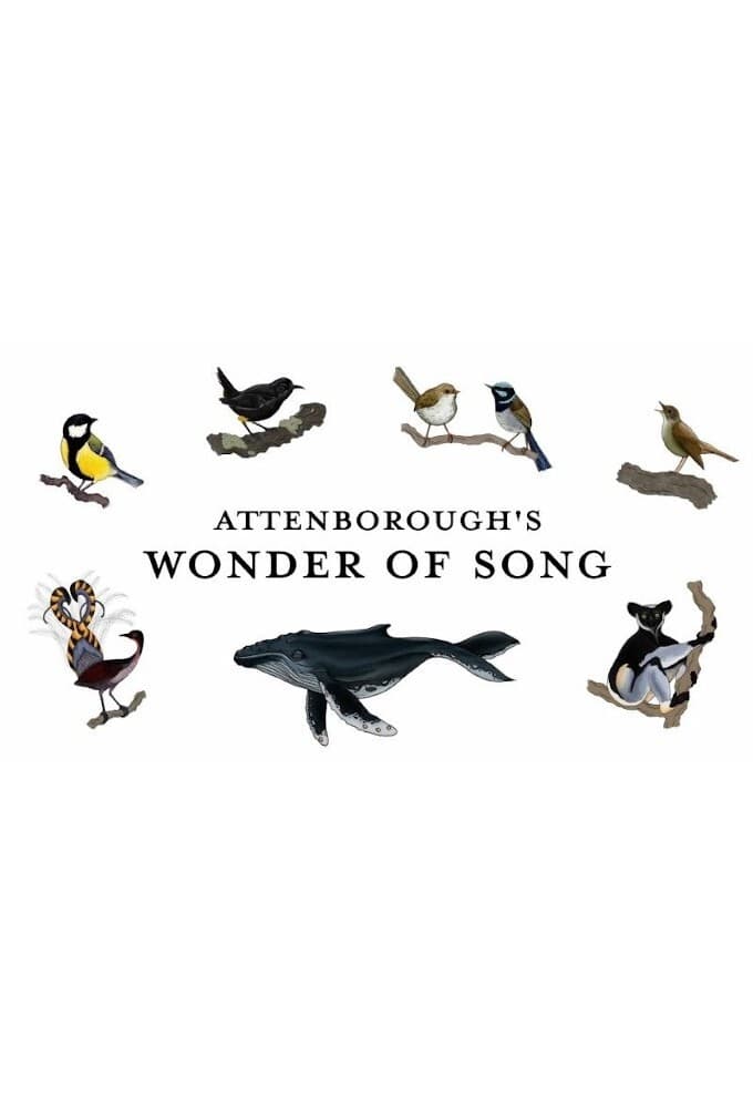 Caratula de Attenborough's Wonder of Song (Maravillas sonoras con David Attenborough) 