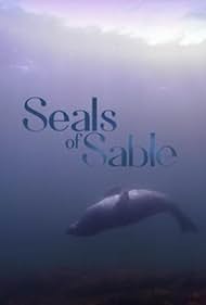 Las focas de la isla Sable