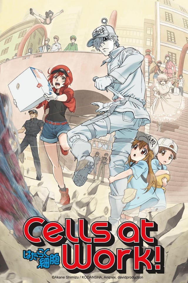 Caratula de はたらく細胞 (Cells at Work!) 
