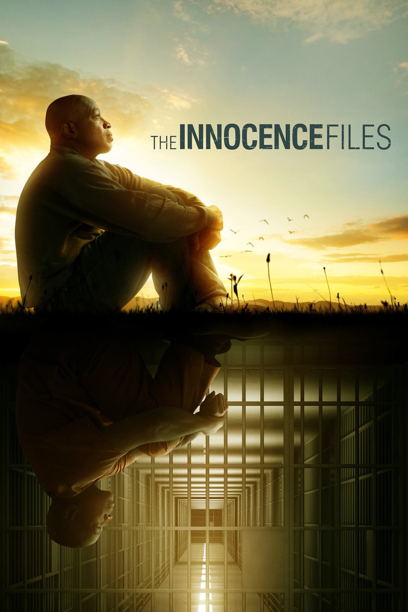 Caratula de The Innocence Files (The Innocence Files) 