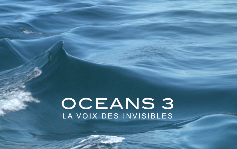 Caratula de Océans 3, la voix des invisibles - Une drôle de guerre (Océanos 3: A voz dos invisibles - Unha guerra estraña) 