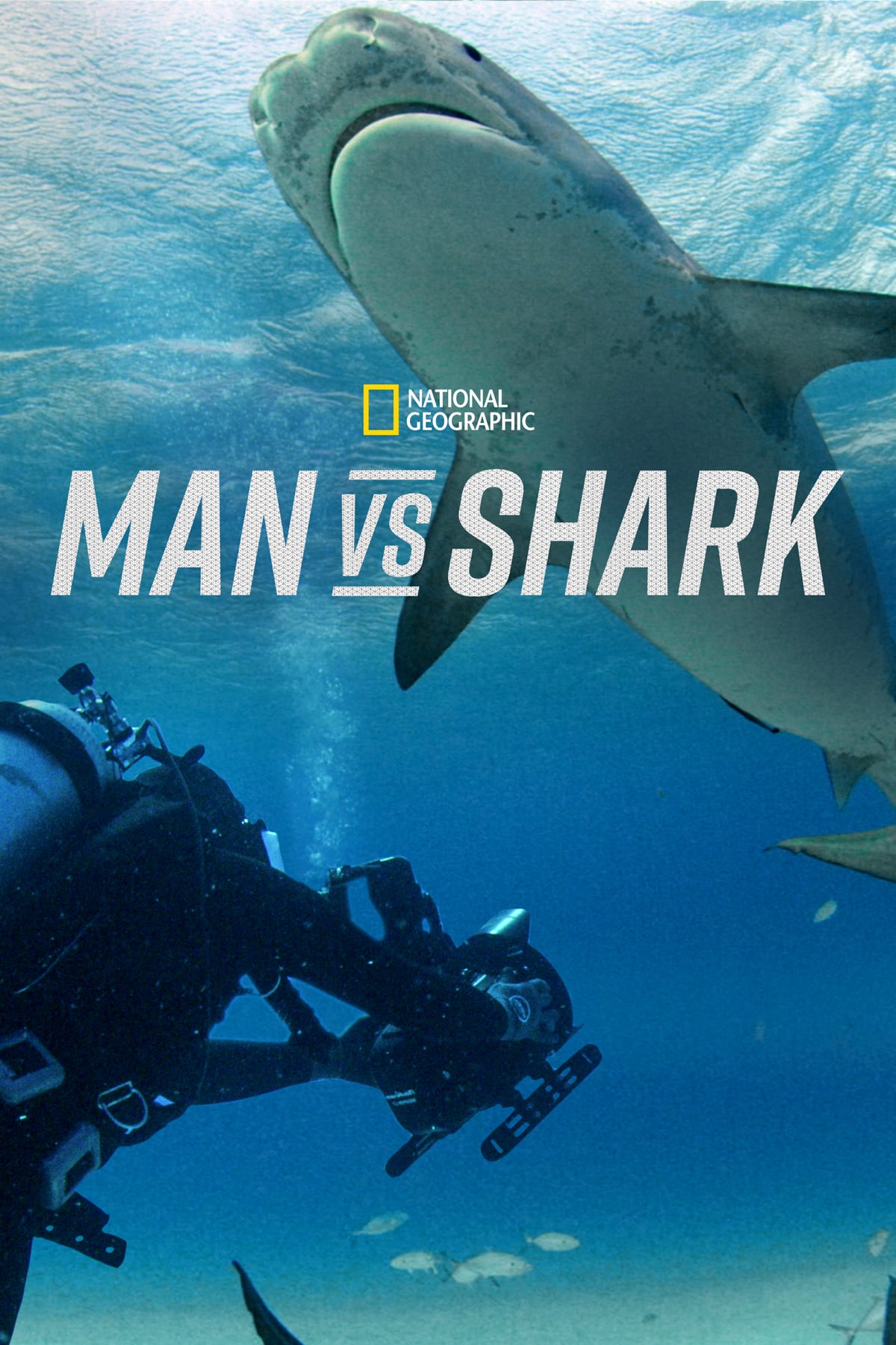Caratula de Man vs. Shark (El hombre frente al tiburón) 