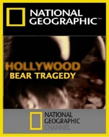 Caratula de HOLLYWOOD BEAR TRAGEDY (La tragedia del oso actor) 