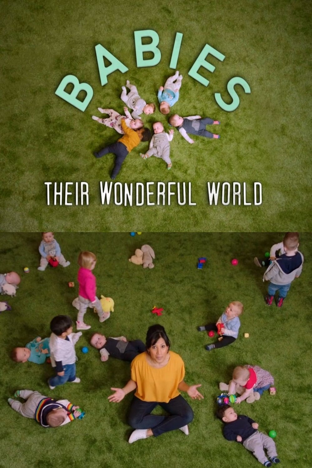 Caratula de Babies: Their Wonderful World (El maravilloso mundo de los bebés) 