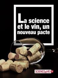 La ciencia y el vino