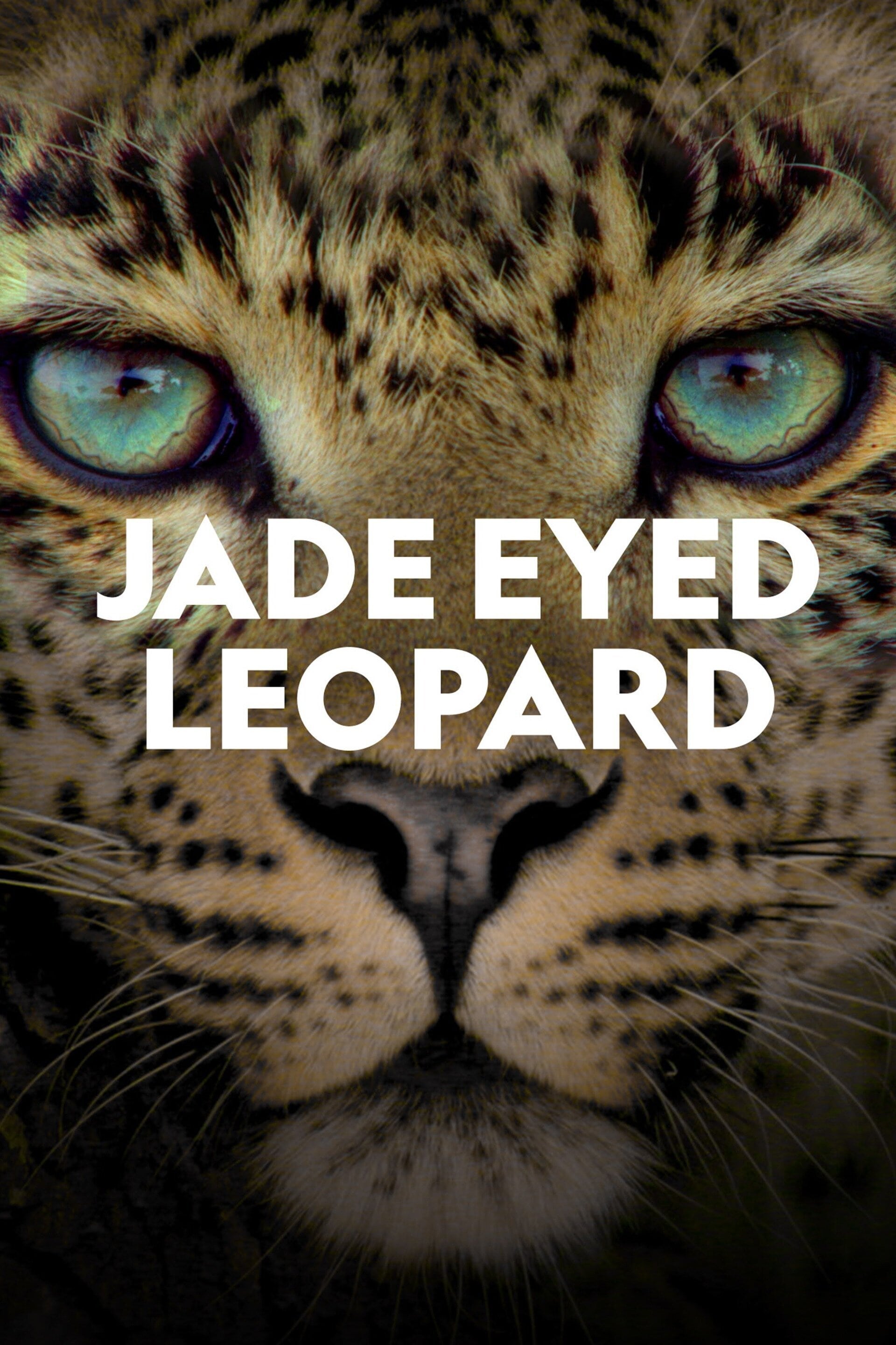 Caratula de JADE EYED LEOPARD (Leopardo de ojos jades) 