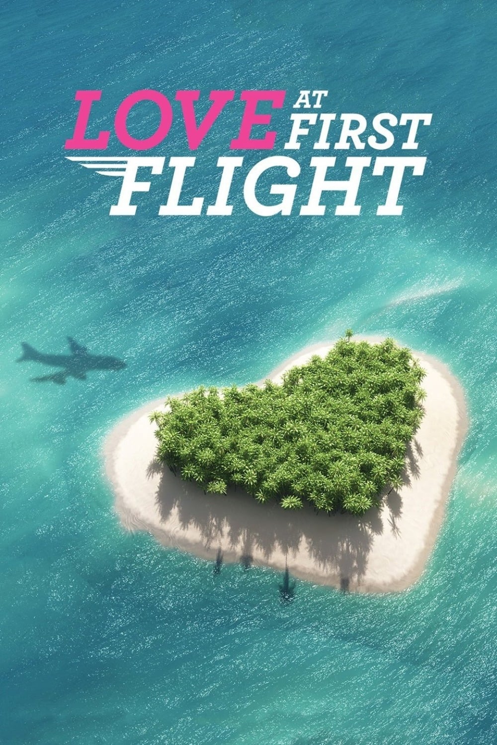 Caratula de Love at First Flight (None) 