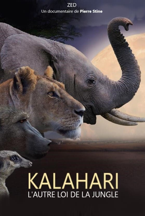 Kalahari, l'altra llei de la selva