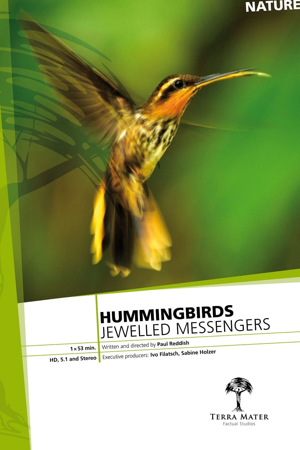Caratula de Hummingbirds: Jewelled Messengers (Los colibríes, preciosos mensajeros) 