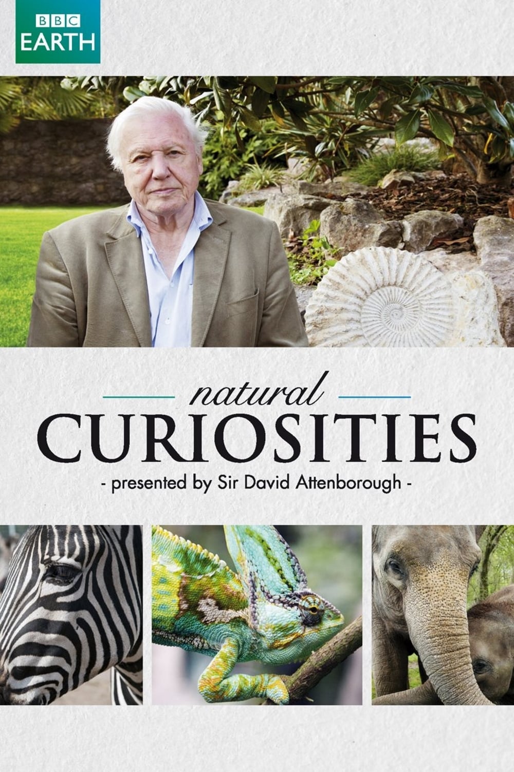 Caratula de David Attenborough's Natural Curiosities (Curiosidades de la naturaleza con Attenborough) 