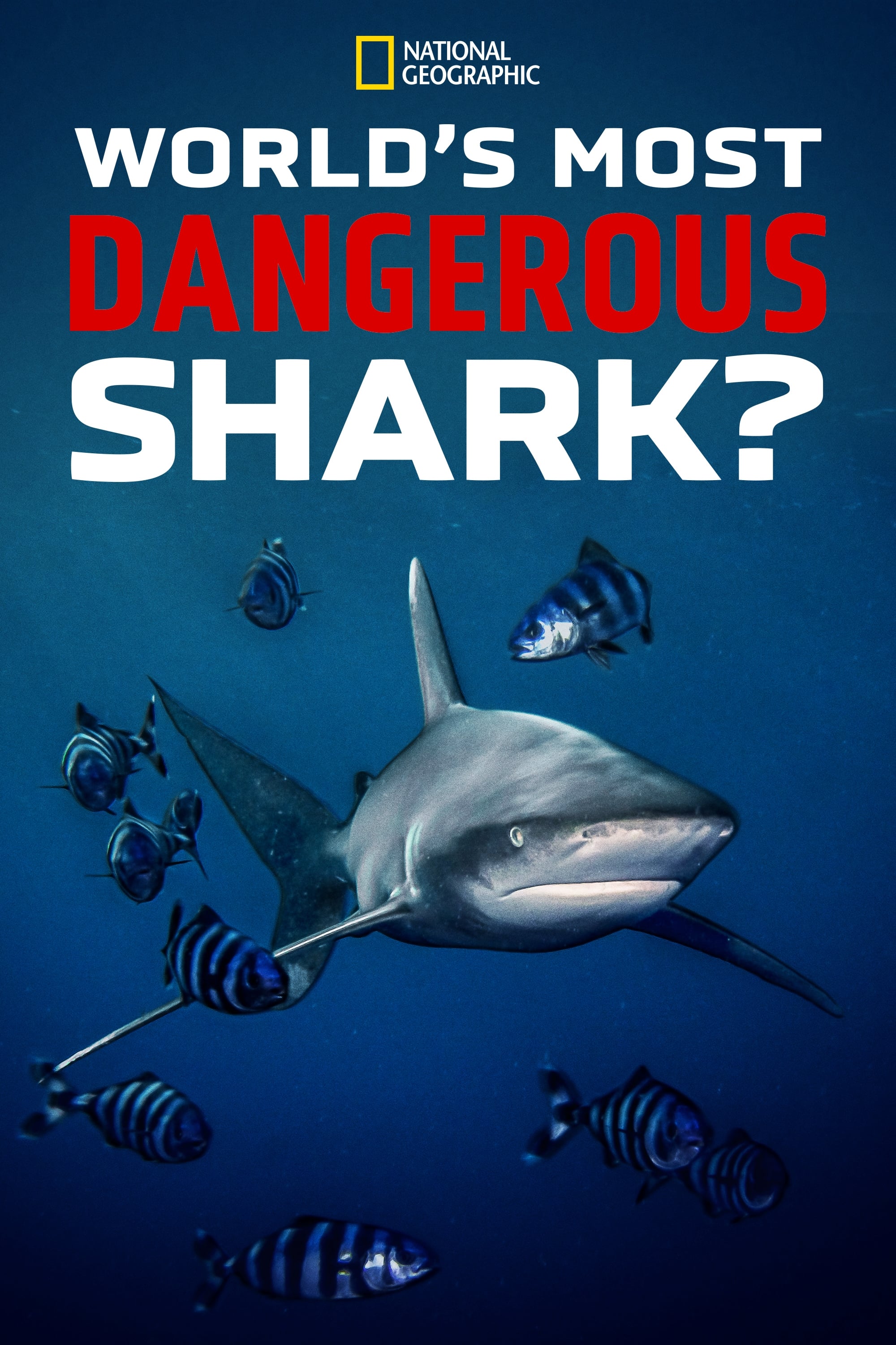 Caratula de World's Most Dangerous Shark? (None) 
