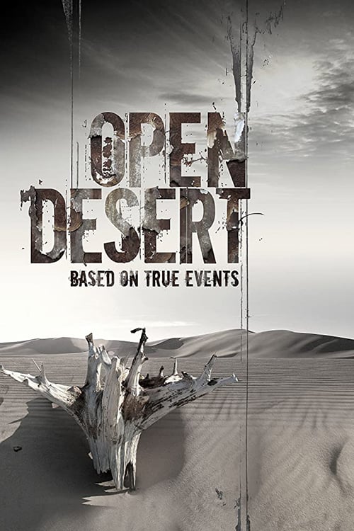 Bajo el sol del desierto