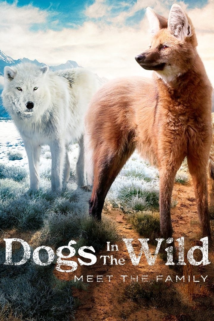 Caratula de Dogs in the Wild: Meet the Family (Perros salvajes) 