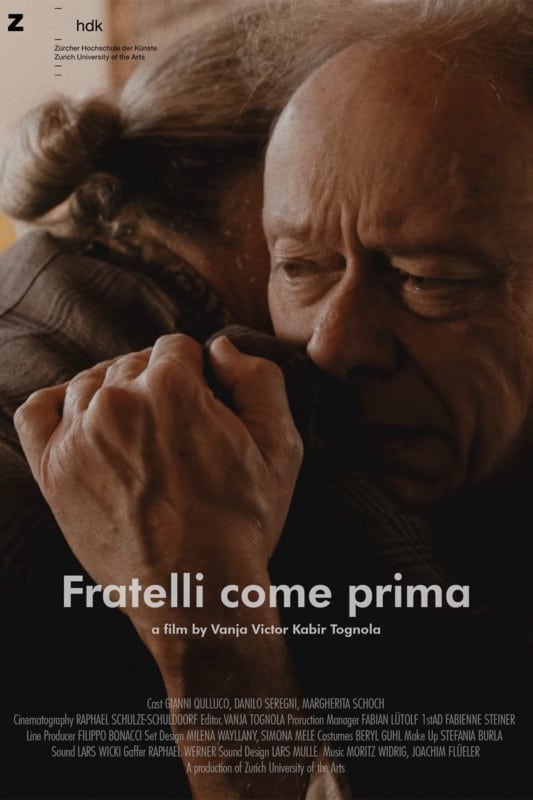 Caratula de Fratelli come prima (Brothers Again) 