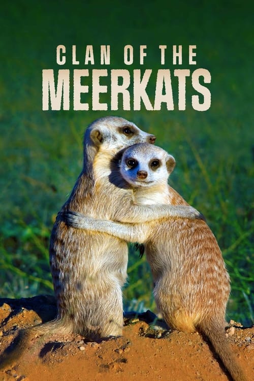 Caratula de Clan of the Meerkats (Clan of the Meerkats) 