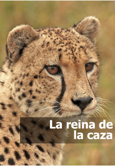 Caratula de Queen of the Hunt