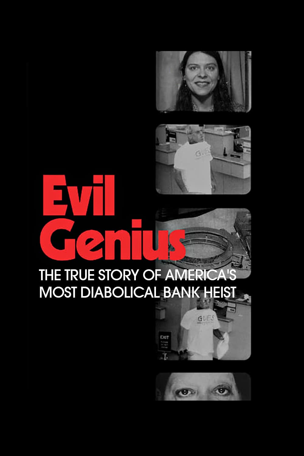 Caratula de Evil Genius 