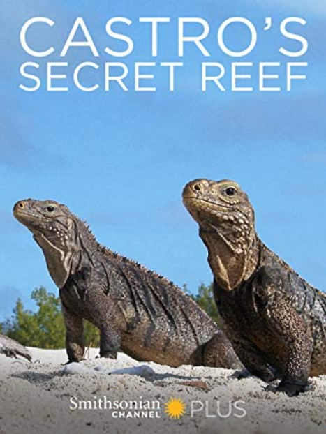 Caratula de Castro’s Secret Reef 