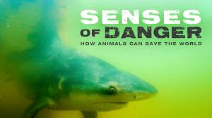 Caratula de Senses of Danger 