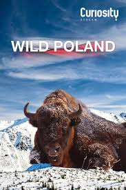Wild Poland