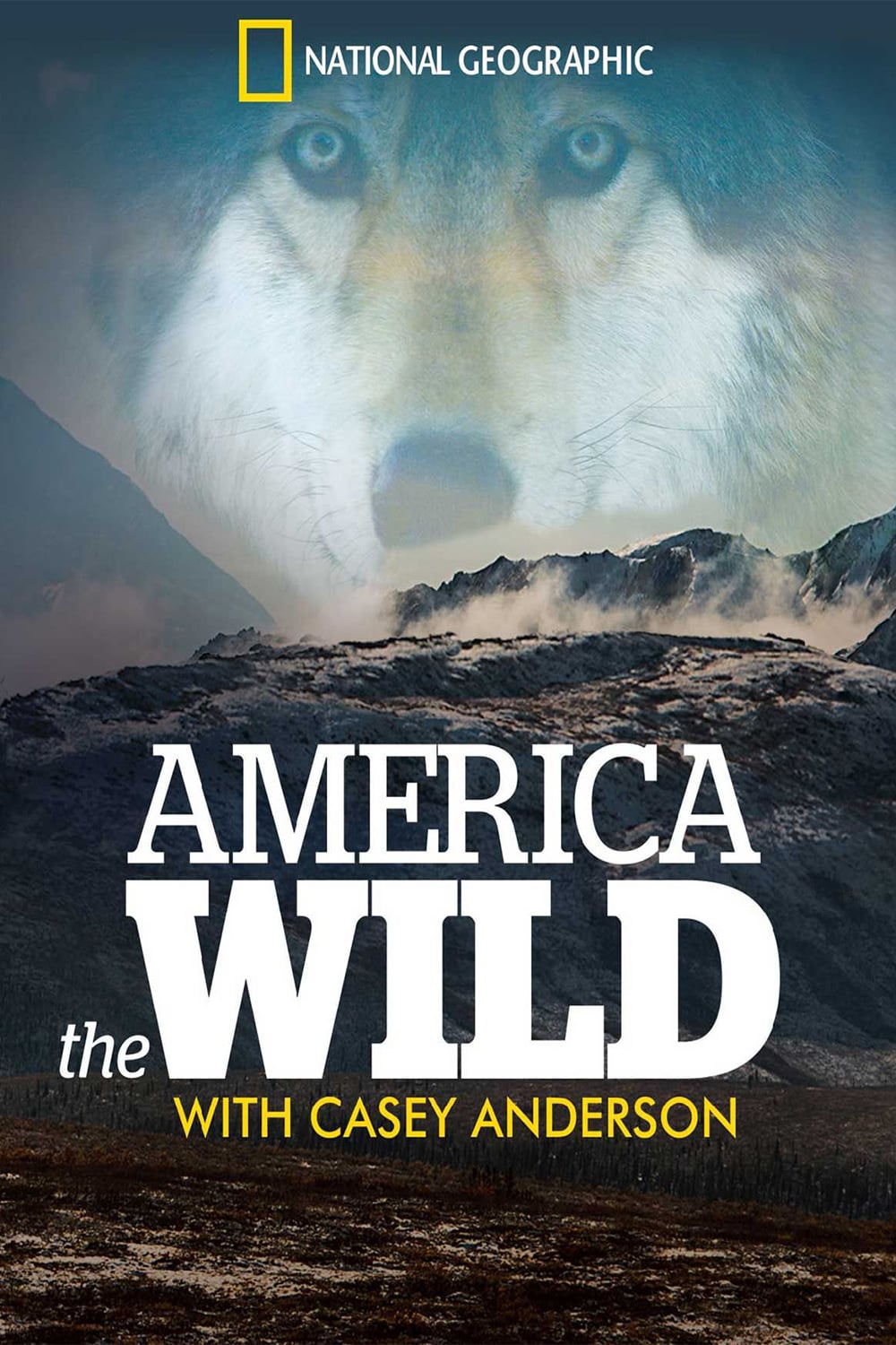 Caratula de America the Wild 