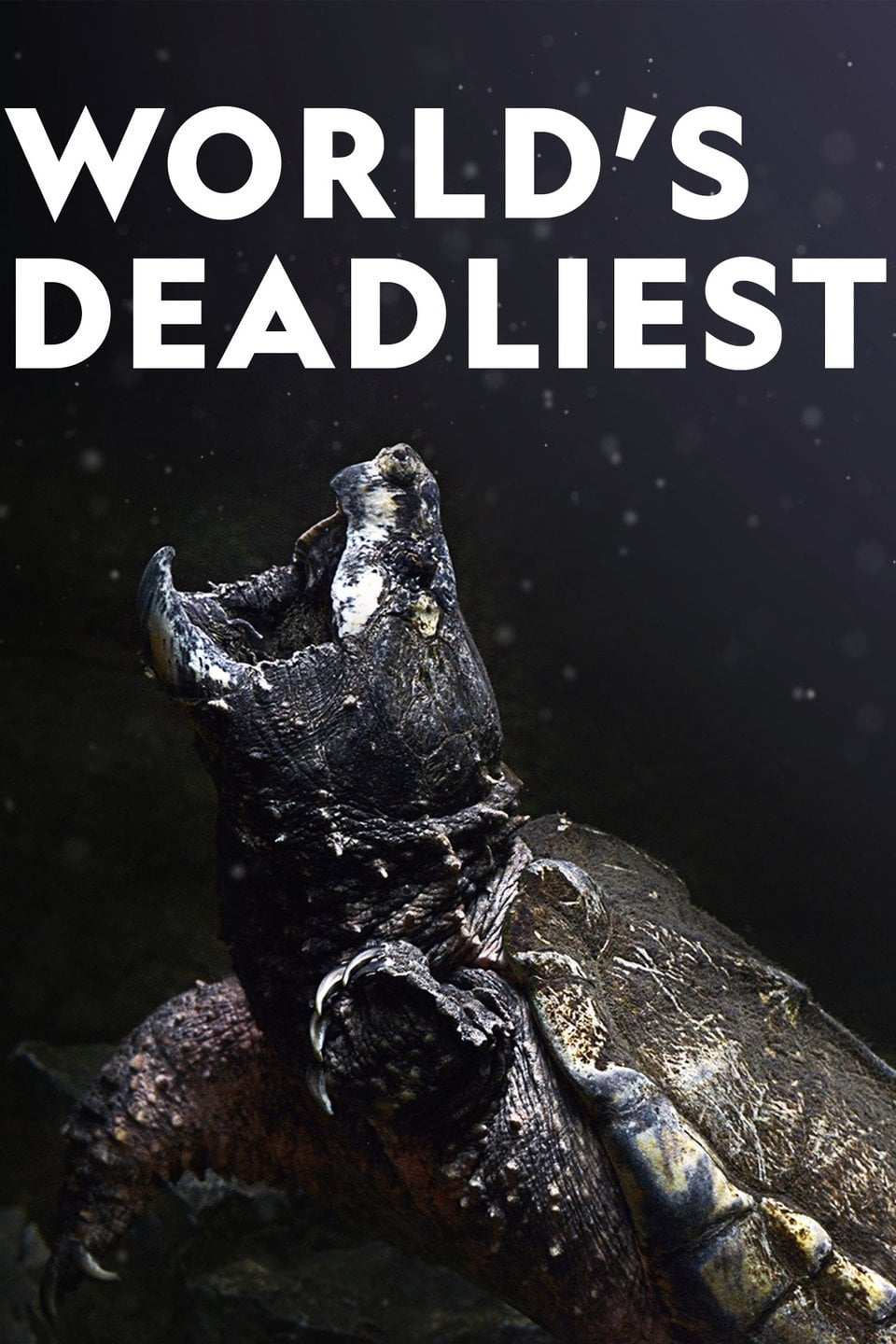 Caratula de World’s Deadliest 