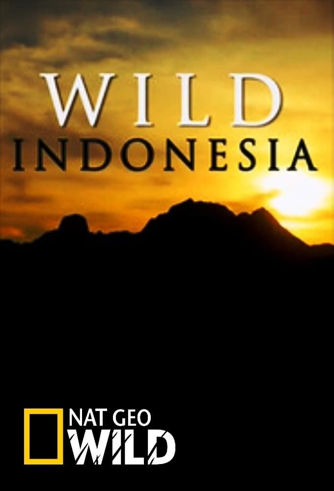 Caratula de Destination Wild 