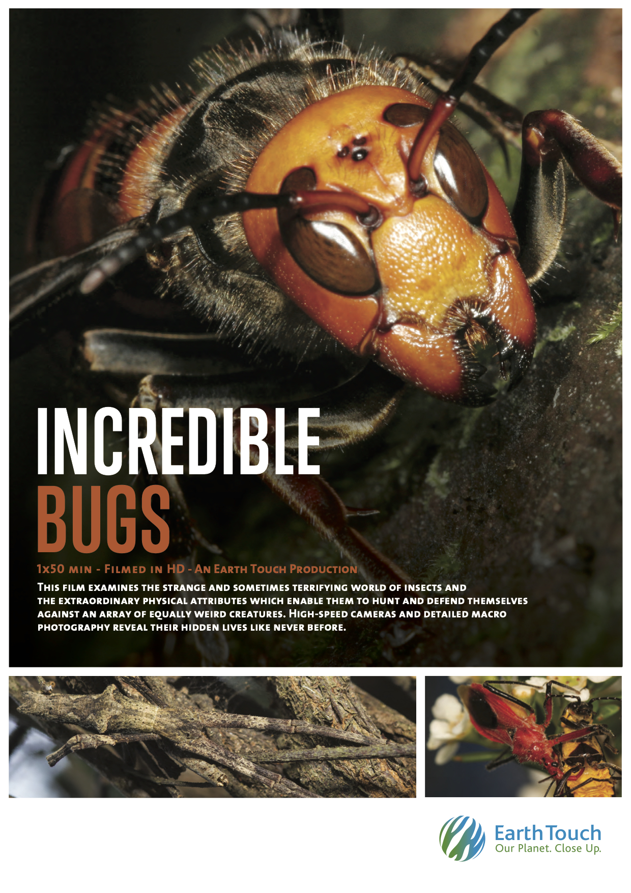 Caratula de Incredible Insects 
