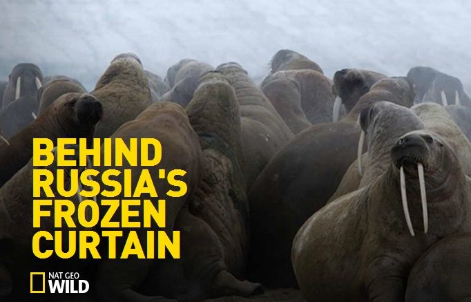 Caratula de Behind Russia’s Frozen Curtain 