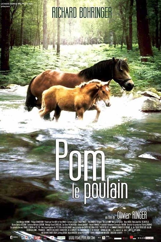 Caratula de POM, LE POULAIN 