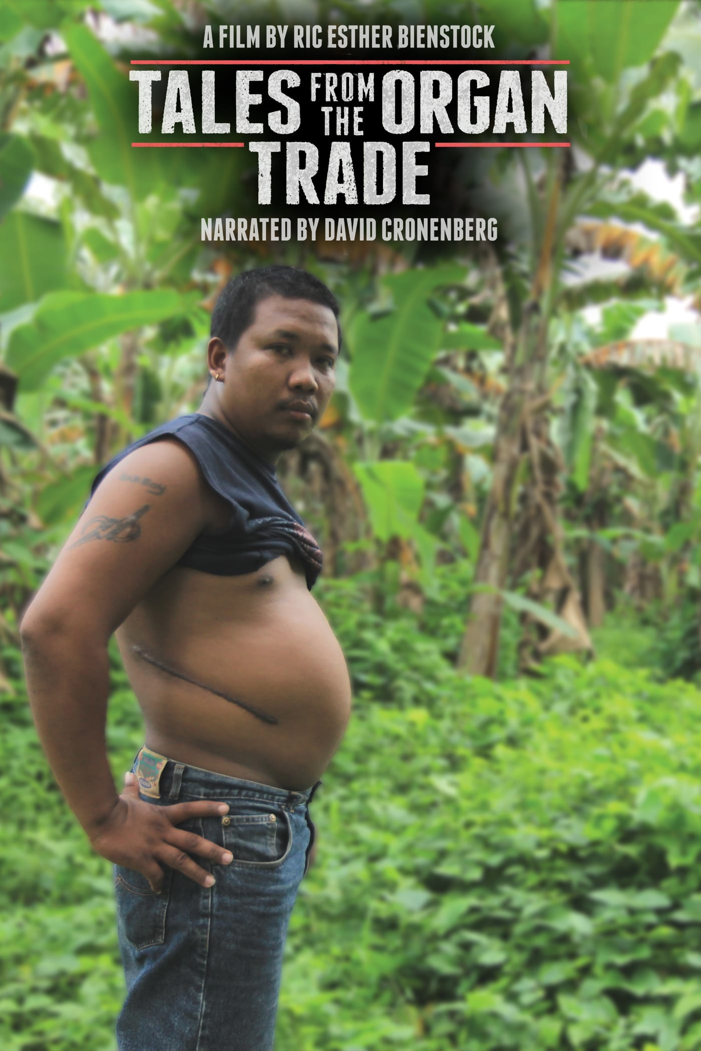 TALES FROM THE ORGAN TRADE