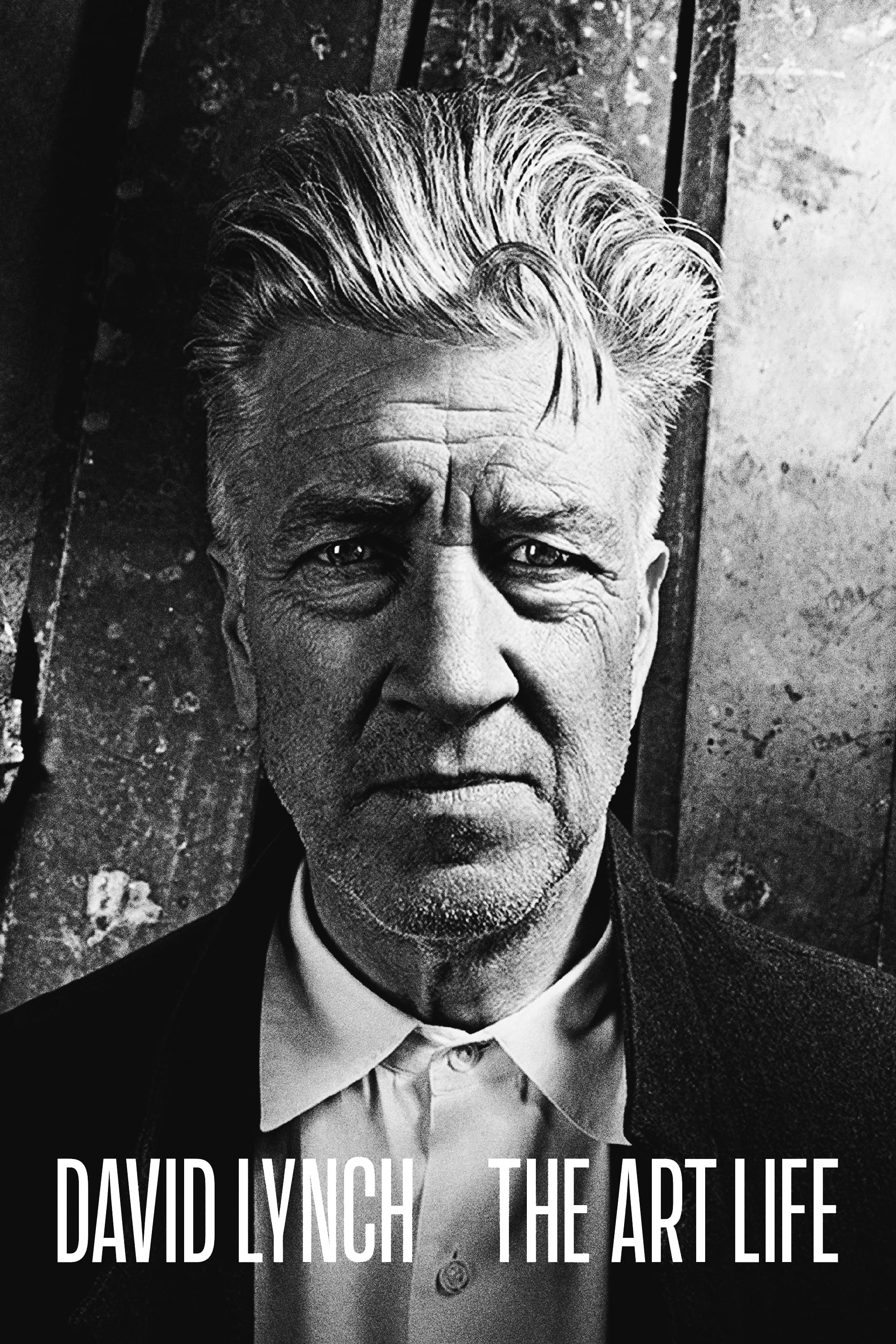 Caratula de DAVID LYNCH – THE ART LIFE 