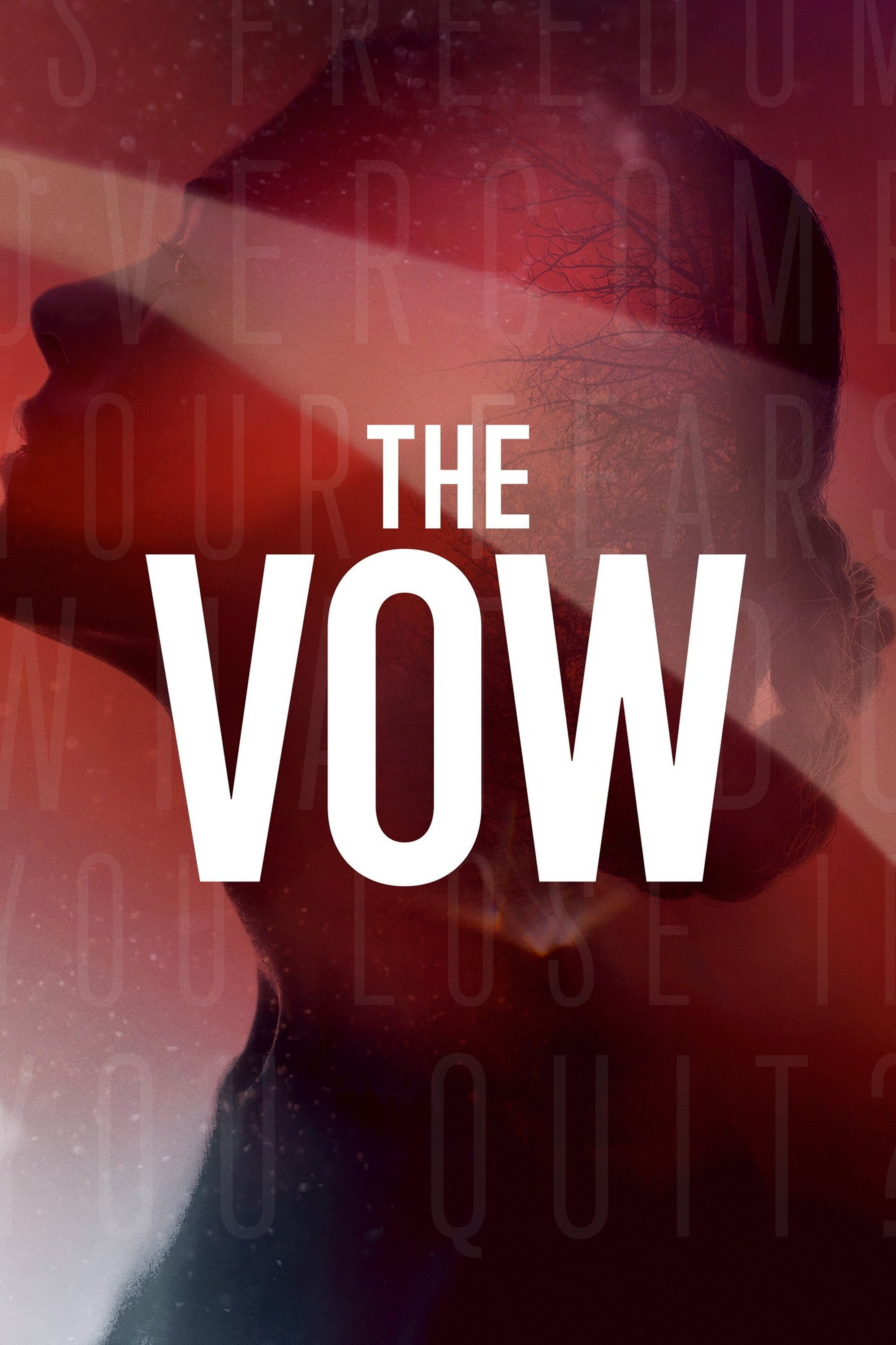 Caratula de The Vow 