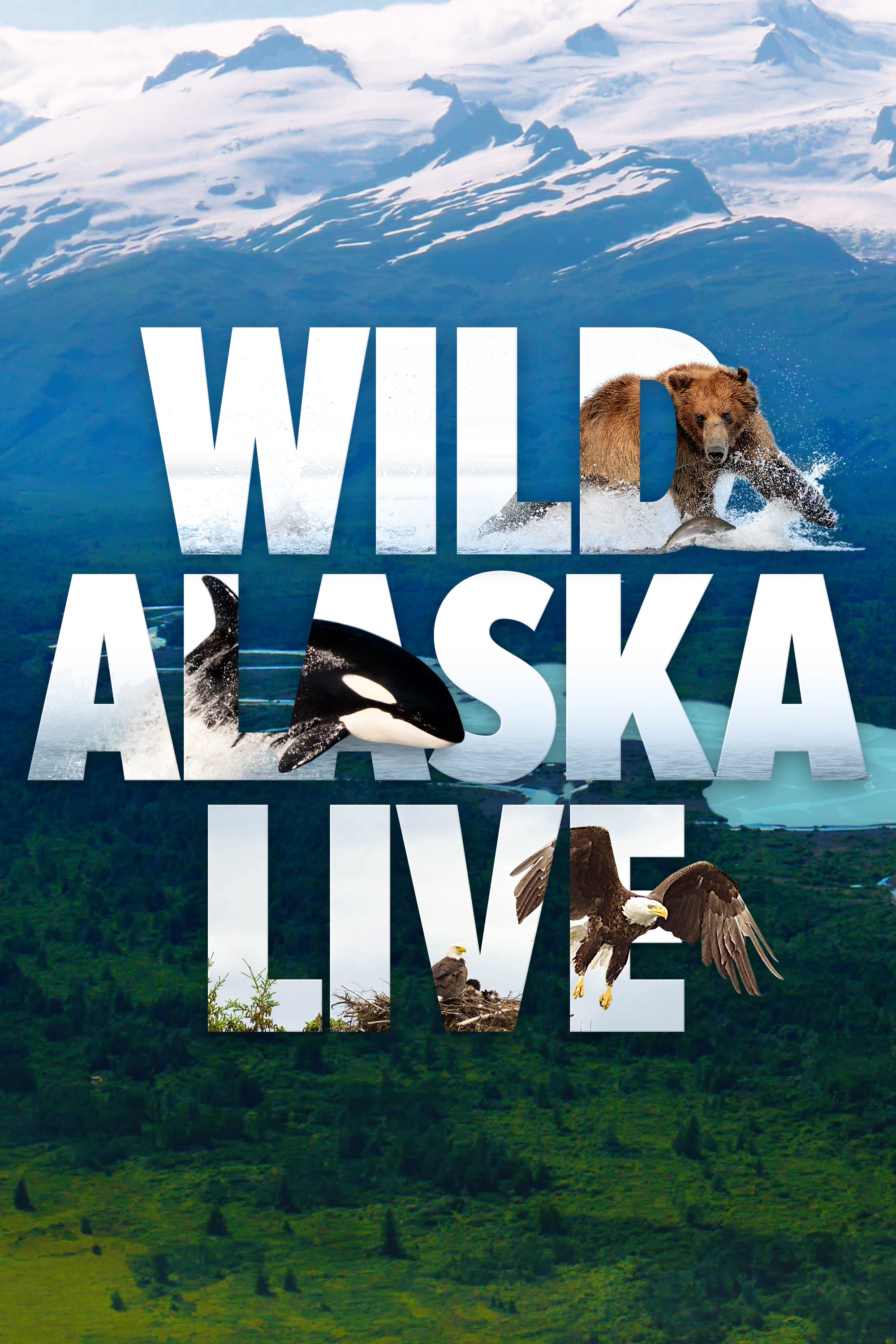Caratula de WILD ALASKA 