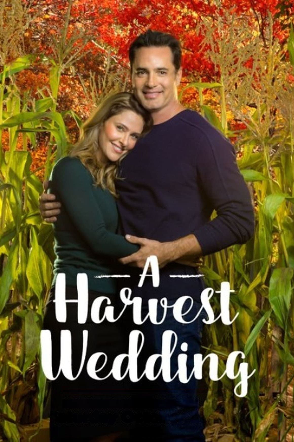 Caratula de A Harvest Wedding 