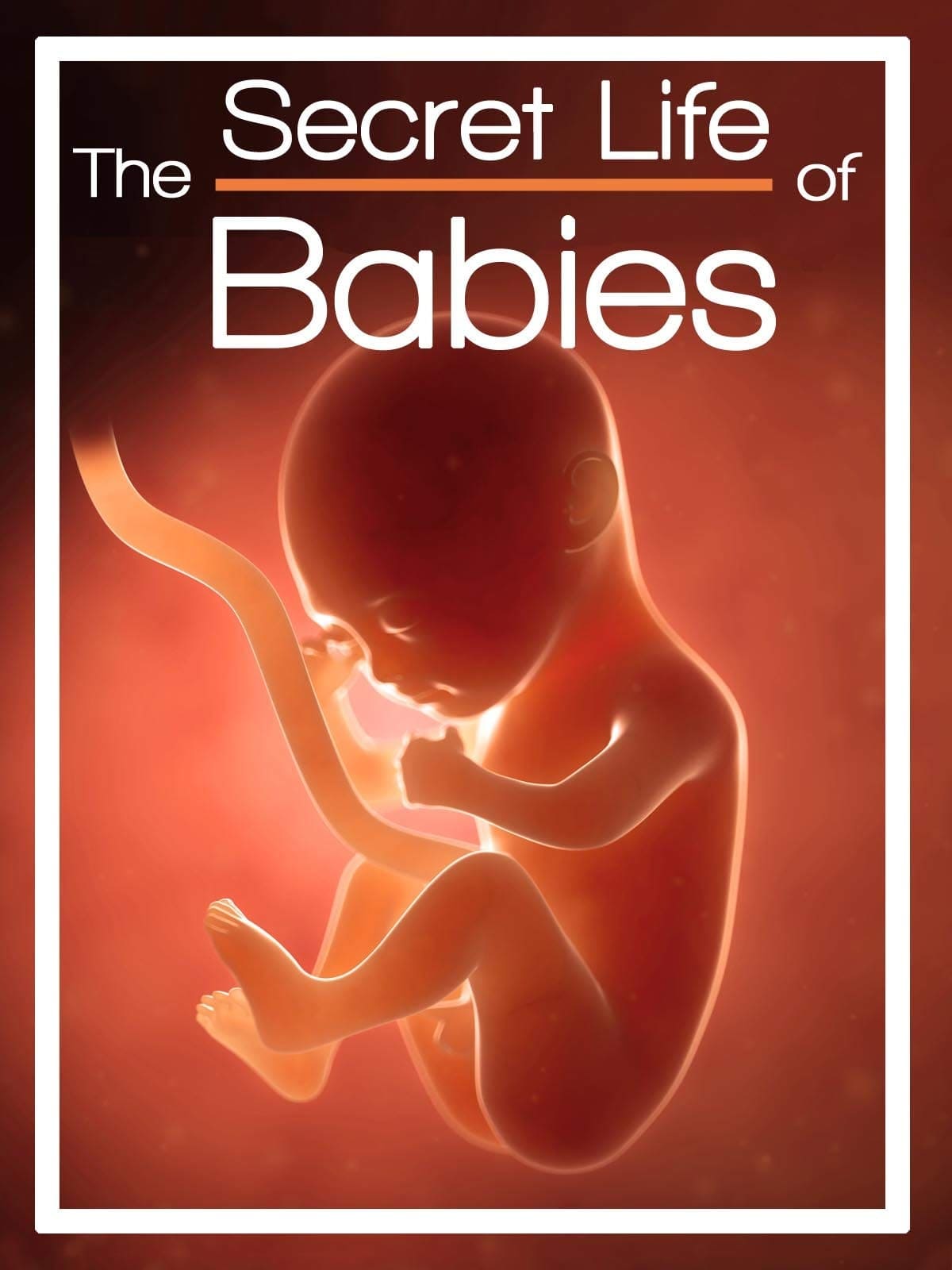 Caratula de THE SECRET LIFE OF BABIES 